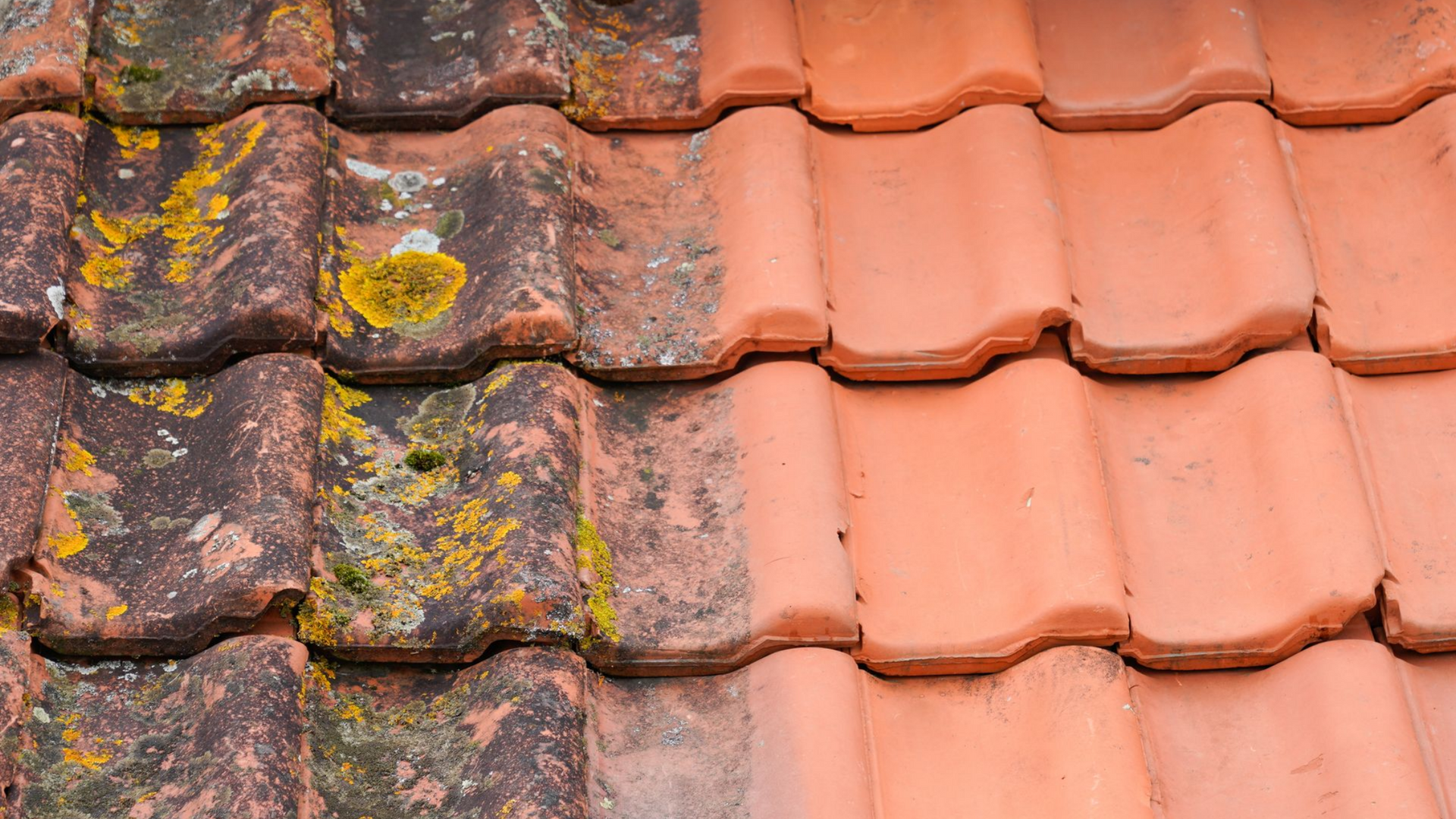 La moitié d'un toit de tuiles en terre cuite rouge est propre, l'autre moitié est recouverte de mousse et de moisissure.