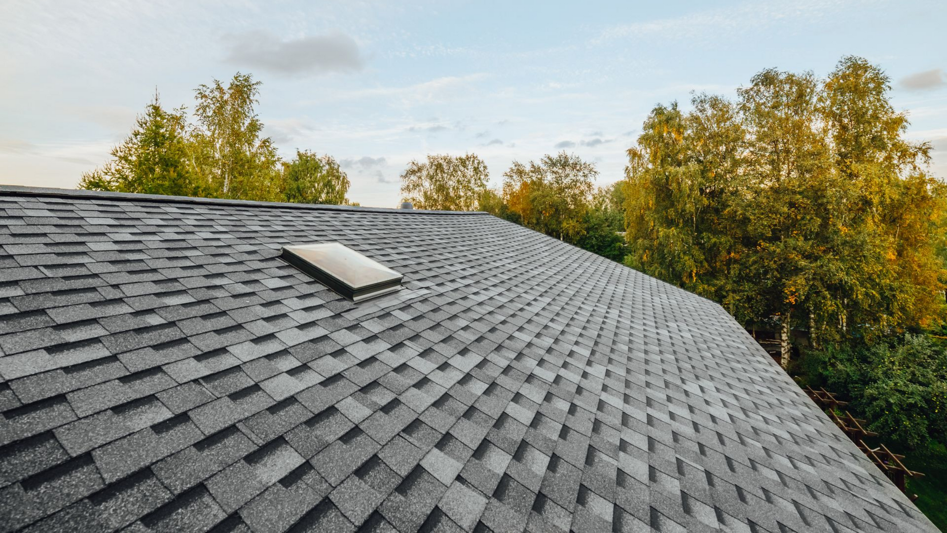 Toit en bardeaux d'asphalte gris avec puits de lumière, entouré d'arbres verts et jaunes sur fond de ciel bleu.