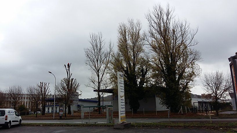 Travaux d'élagage en Dordogne