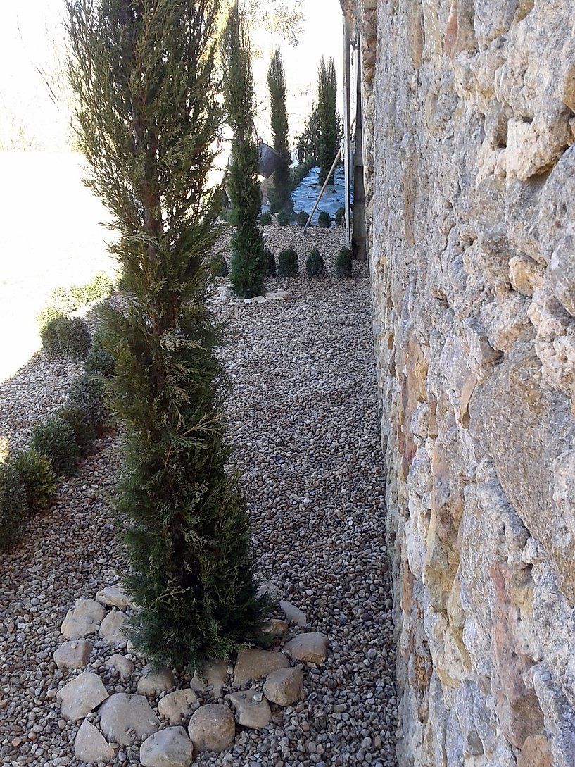 Plantations paysagères