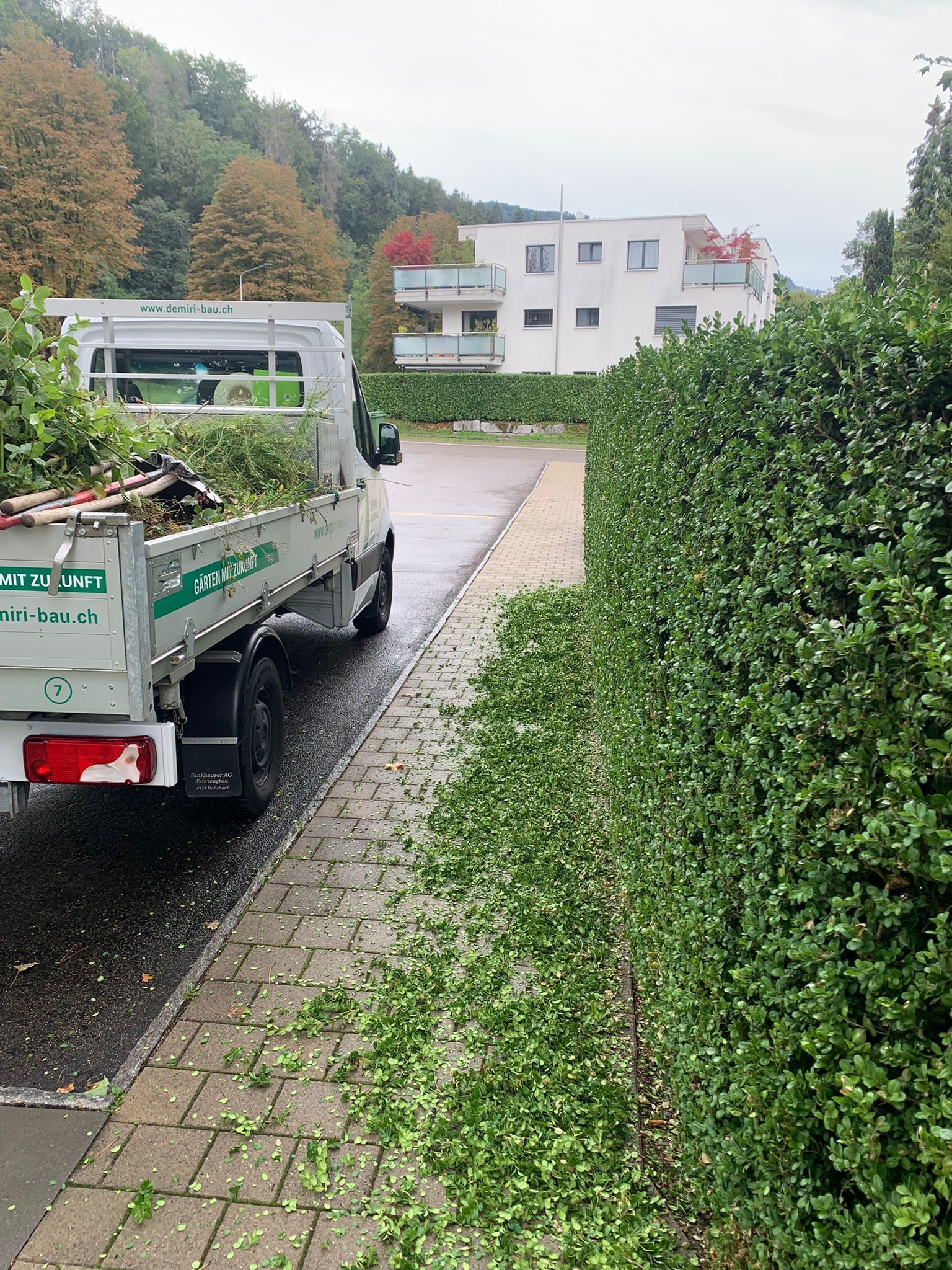 Gartenpflege & Bepflanzungen - Demiri Gartenbau GmbH - Dübendorf