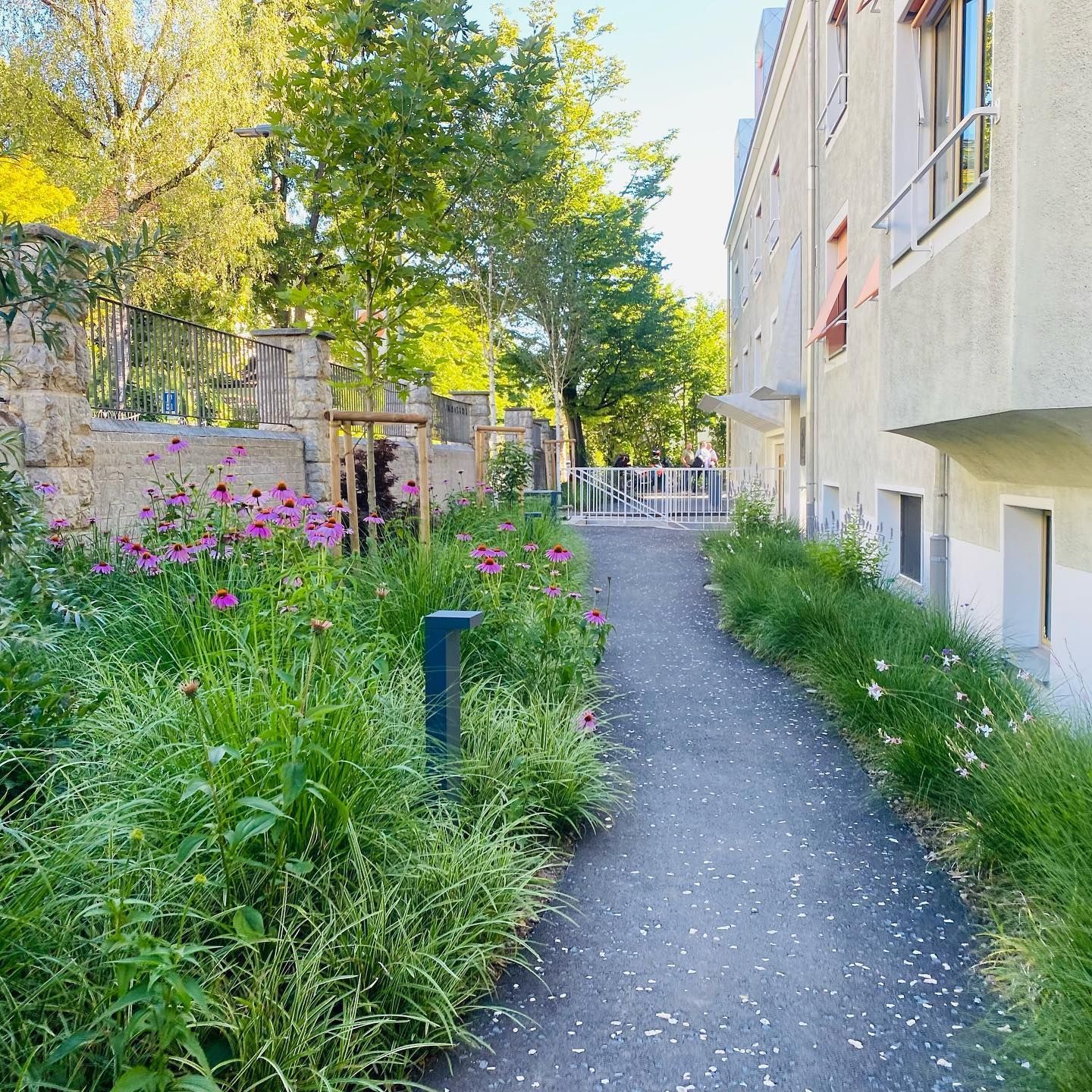 Gartenpflege & Bepflanzungen - Demiri Gartenbau GmbH - Dübendorf