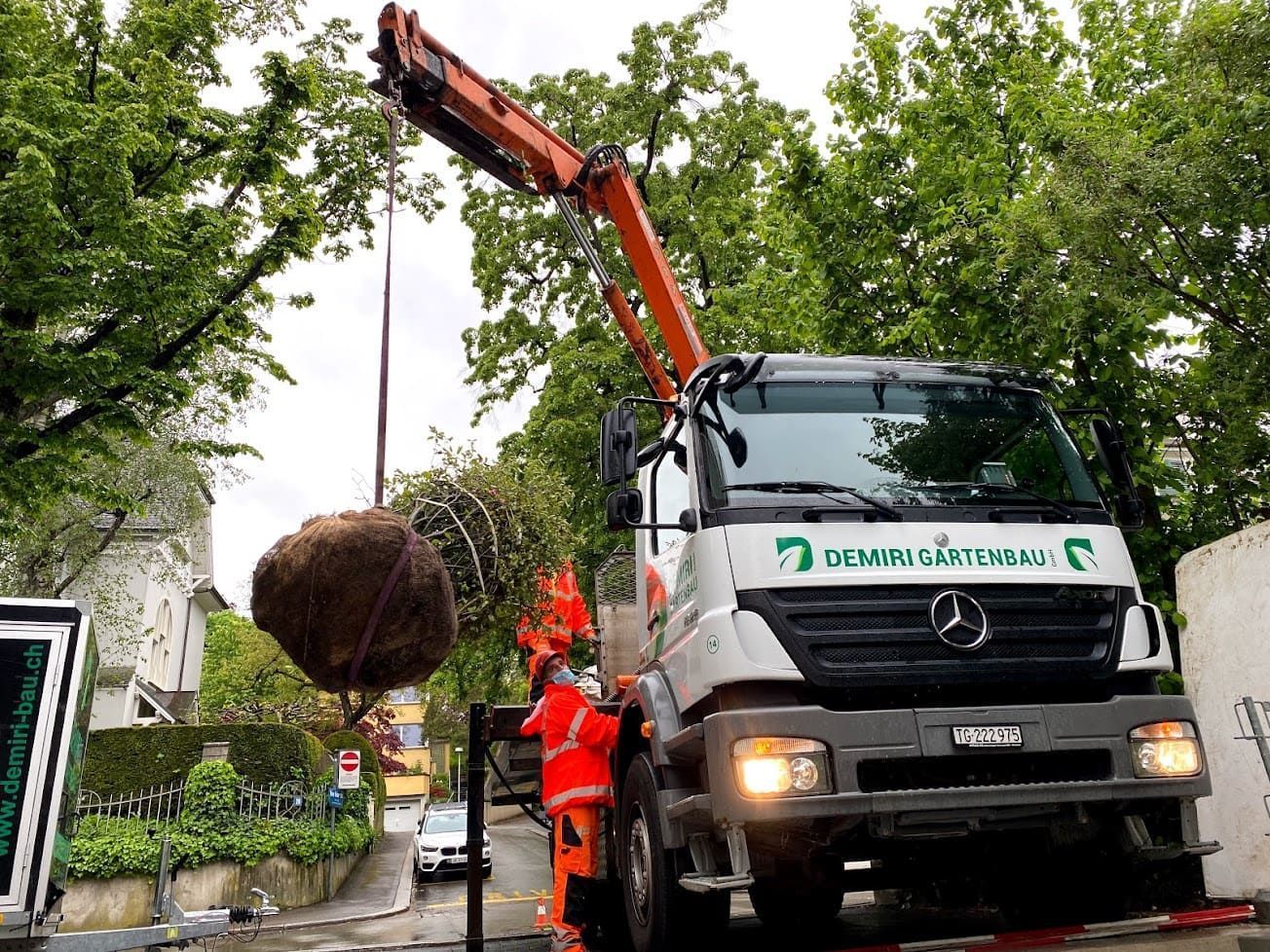 Gartenpflege & Bepflanzungen - Demiri Gartenbau GmbH - Dübendorf
