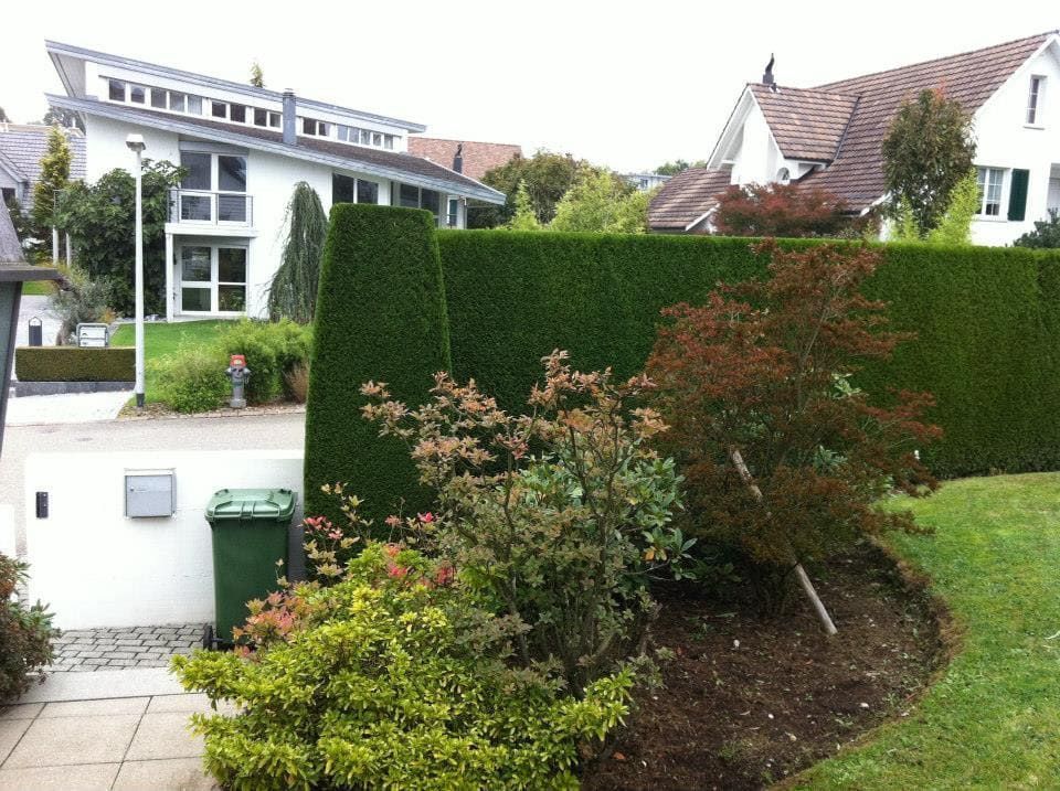 Gartenpflege & Bepflanzungen - Demiri Gartenbau GmbH - Dübendorf