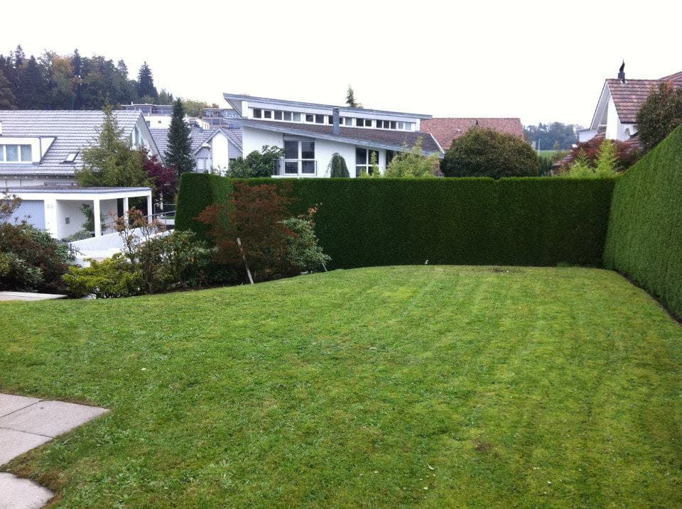 Gartenpflege & Bepflanzungen - Demiri Gartenbau GmbH - Dübendorf