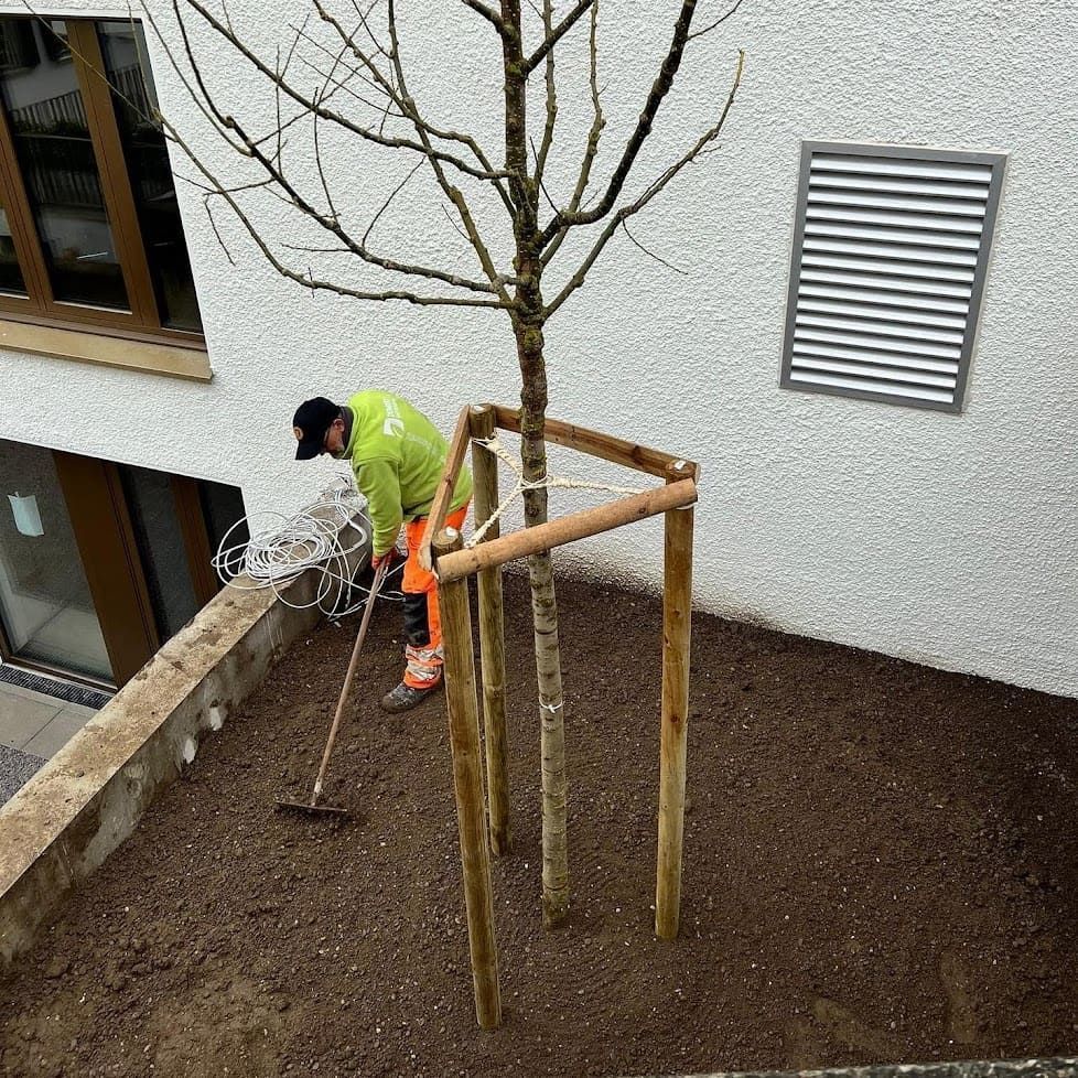 Gartenpflege & Bepflanzungen - Demiri Gartenbau GmbH - Dübendorf