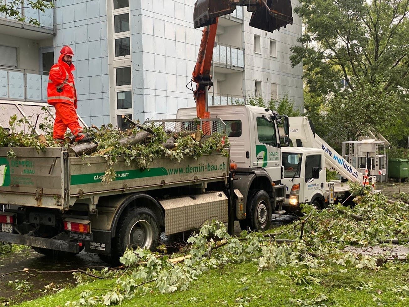 Gartenpflege & Bepflanzungen - Demiri Gartenbau GmbH - Dübendorf