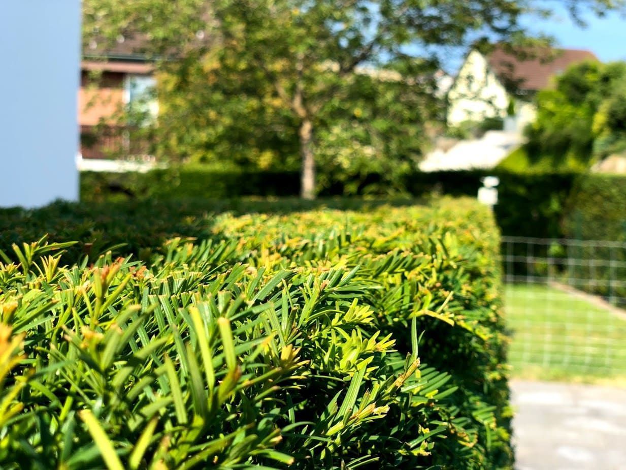 Gartenpflege & Bepflanzungen - Demiri Gartenbau GmbH - Dübendorf