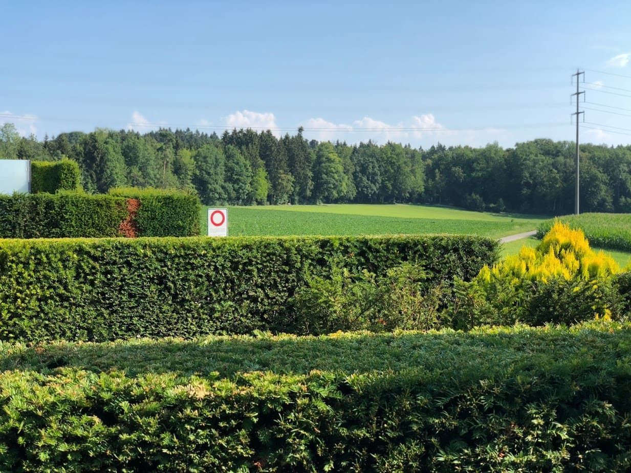 Gartenpflege & Bepflanzungen - Demiri Gartenbau GmbH - Dübendorf