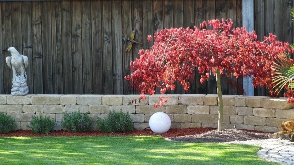 Gartenpflege & Bepflanzungen - Demiri Gartenbau GmbH - Dübendorf