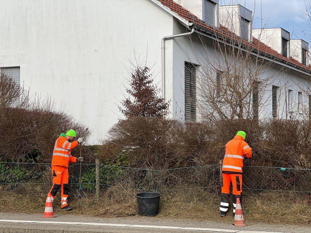 Gartenpflege & Bepflanzungen - Demiri Gartenbau GmbH - Dübendorf