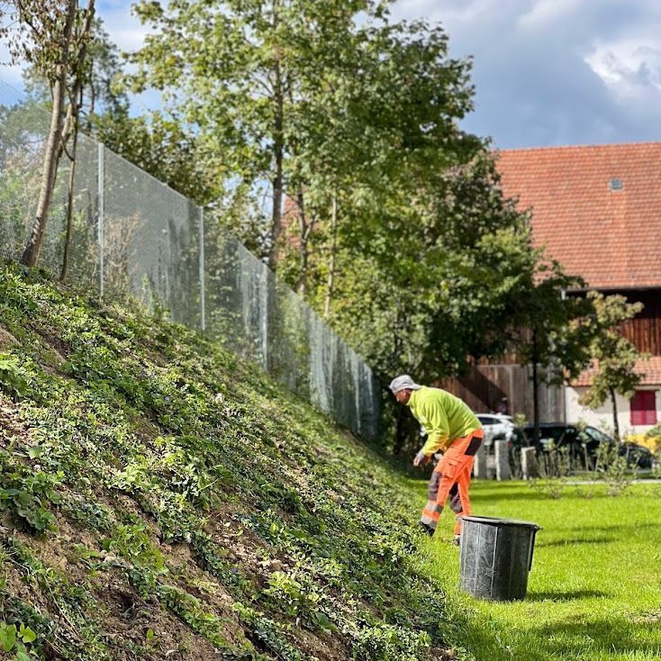 Gartenpflege & Bepflanzungen - Demiri Gartenbau GmbH - Dübendorf