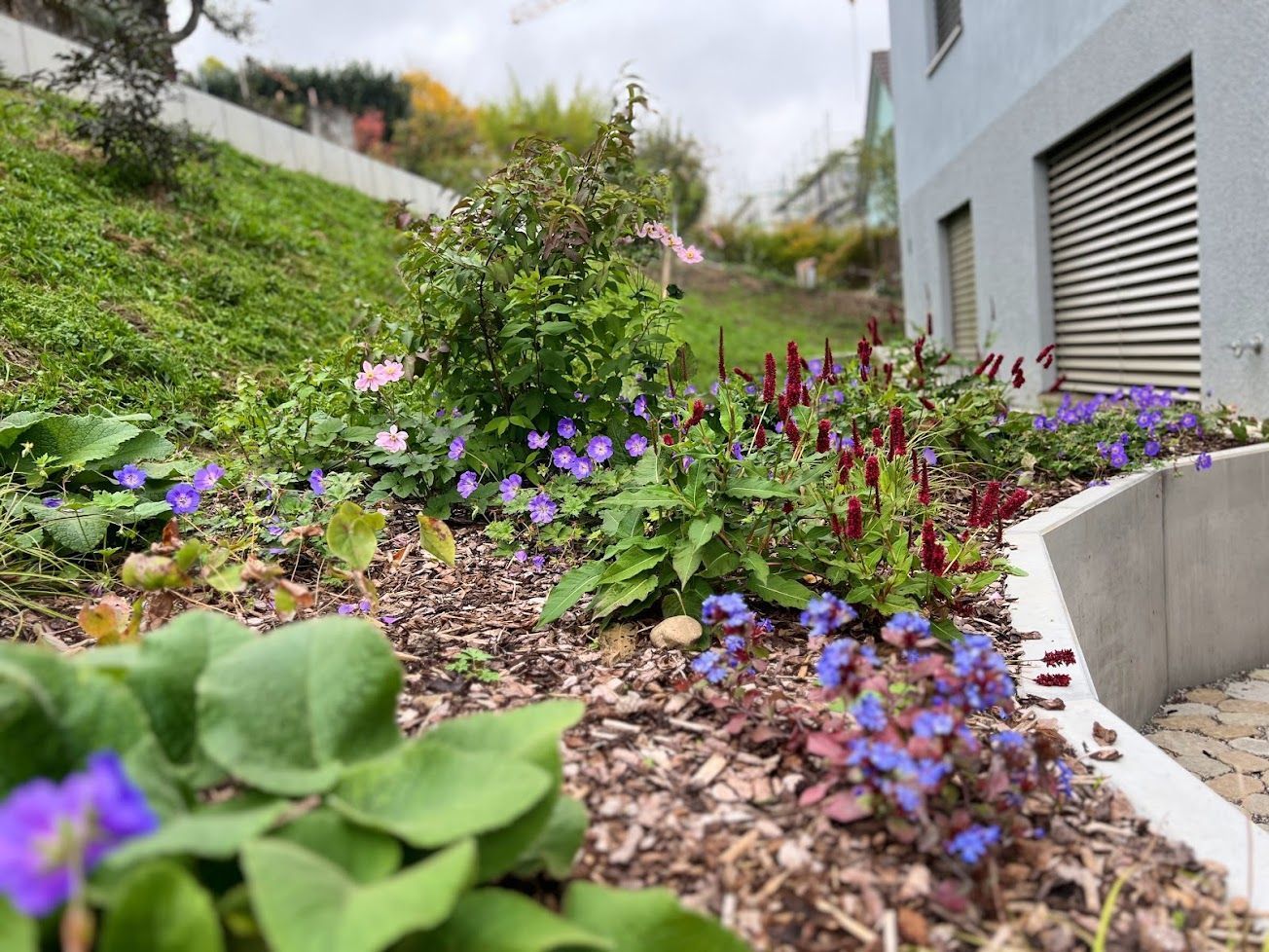 Gartenpflege & Bepflanzungen - Demiri Gartenbau GmbH - Dübendorf