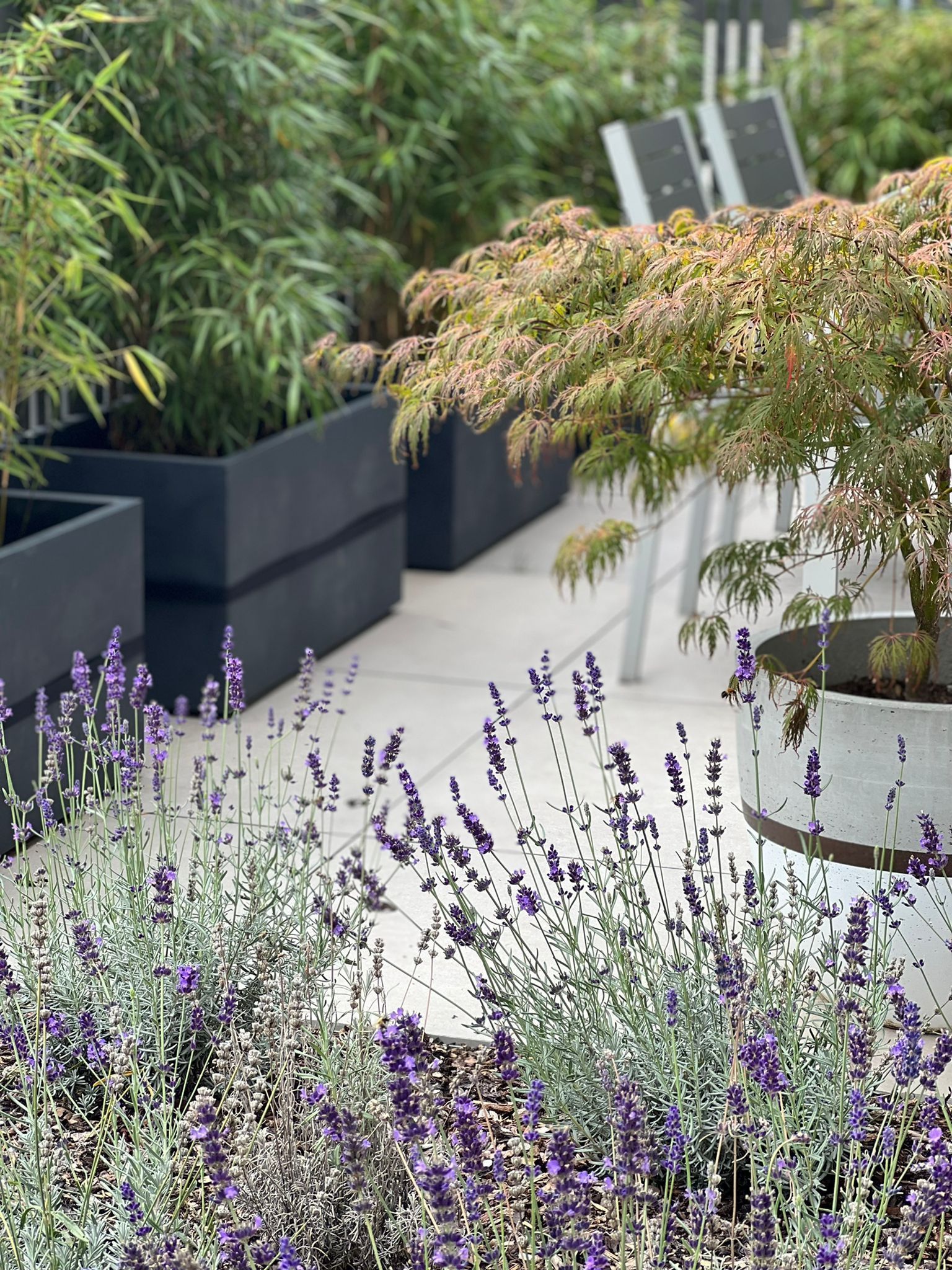 Gartenpflege & Bepflanzungen - Demiri Gartenbau GmbH - Dübendorf