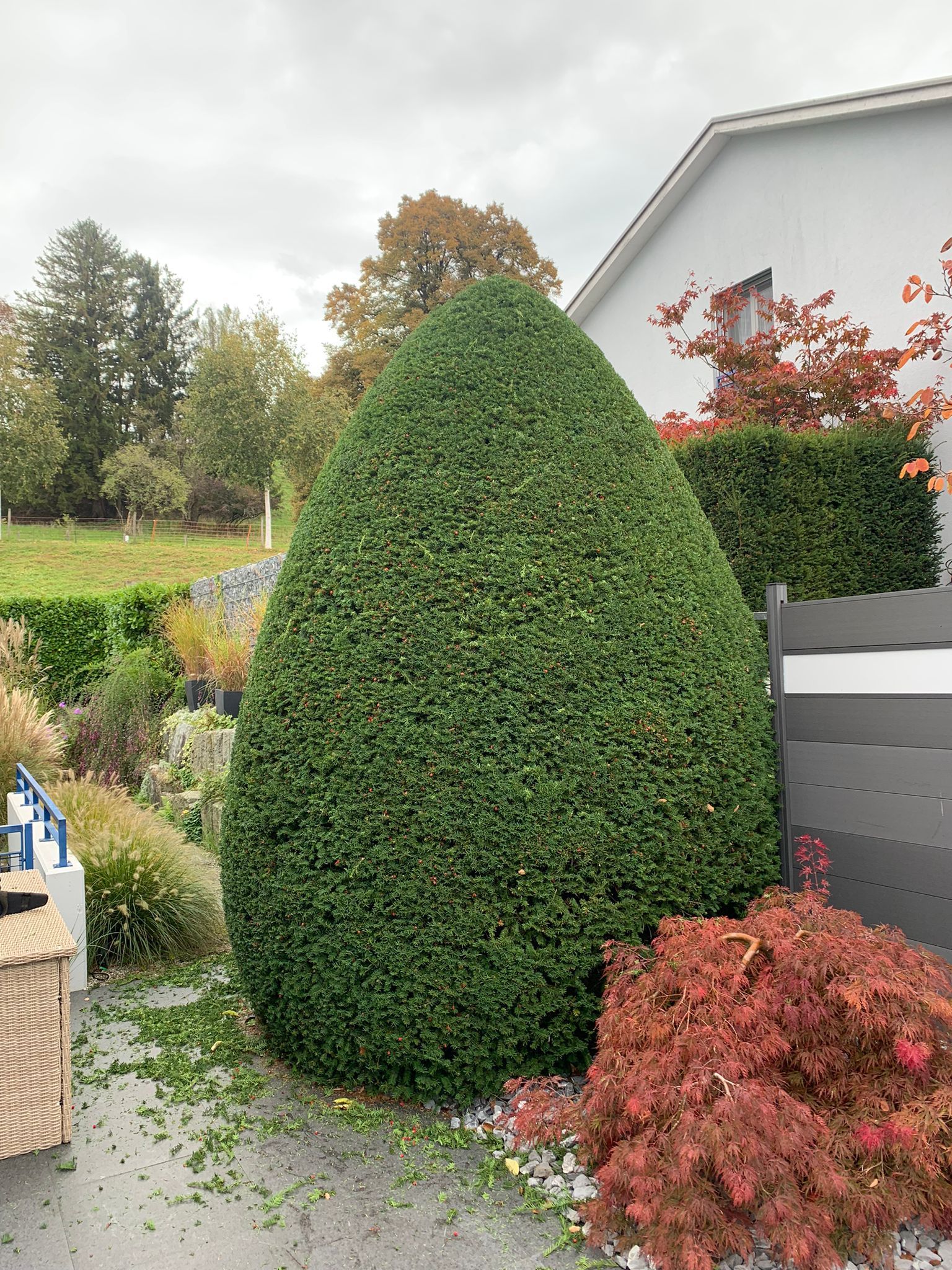 Gartenpflege & Bepflanzungen - Demiri Gartenbau GmbH - Dübendorf