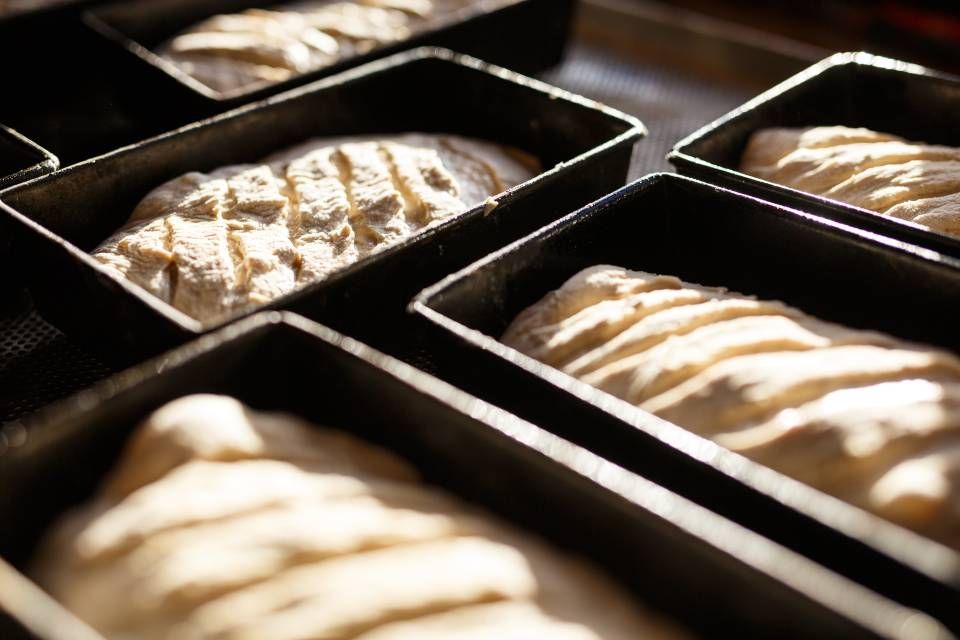 Frisch gebackenes Brot aus dem Ofen