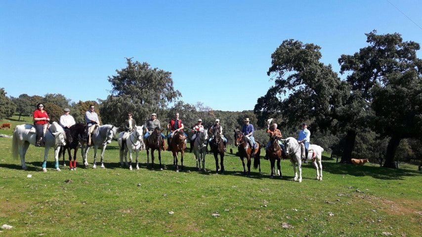 Grupo de jinetes a caballo de pie en un campo de hierba con árboles bajo un cielo azul.