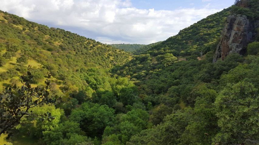 Valle boscoso de un verde exuberante entre colinas bajo un cielo parcialmente nublado.