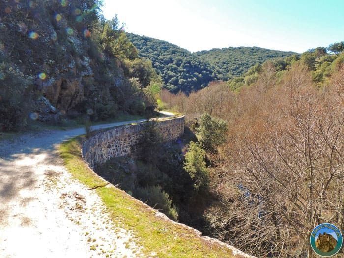 Un camino de montaña serpentea junto a un muro de contención de piedra a través de una ladera boscosa bajo un sol brillante.
