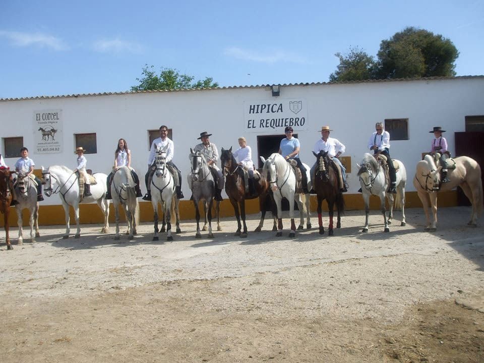 Jinetes a caballo, montados en caballos blancos, se alinearon frente a un edificio en un evento ecuestre al aire libre.