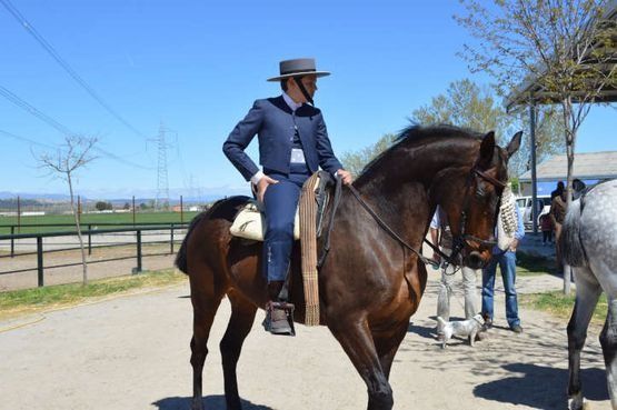 Una persona a caballo marrón al aire libre junto a un caballo blanco y un campo cercado bajo un cielo azul.