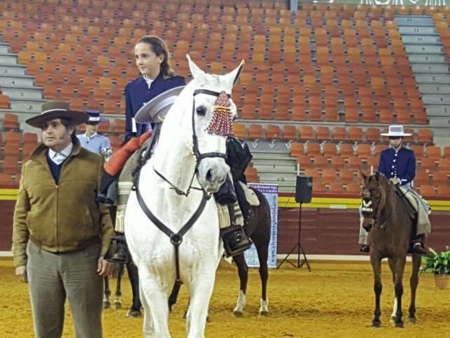 Jinete sobre caballo blanco en una arena, con otro jinete y caballos detrás, frente a las gradas del estadio.