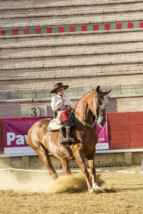 Un vaquero montando un caballo palomino al galope en una polvorienta arena de rodeo.