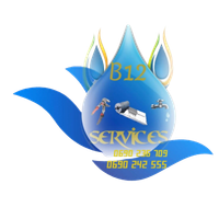 Logo - B12 Services