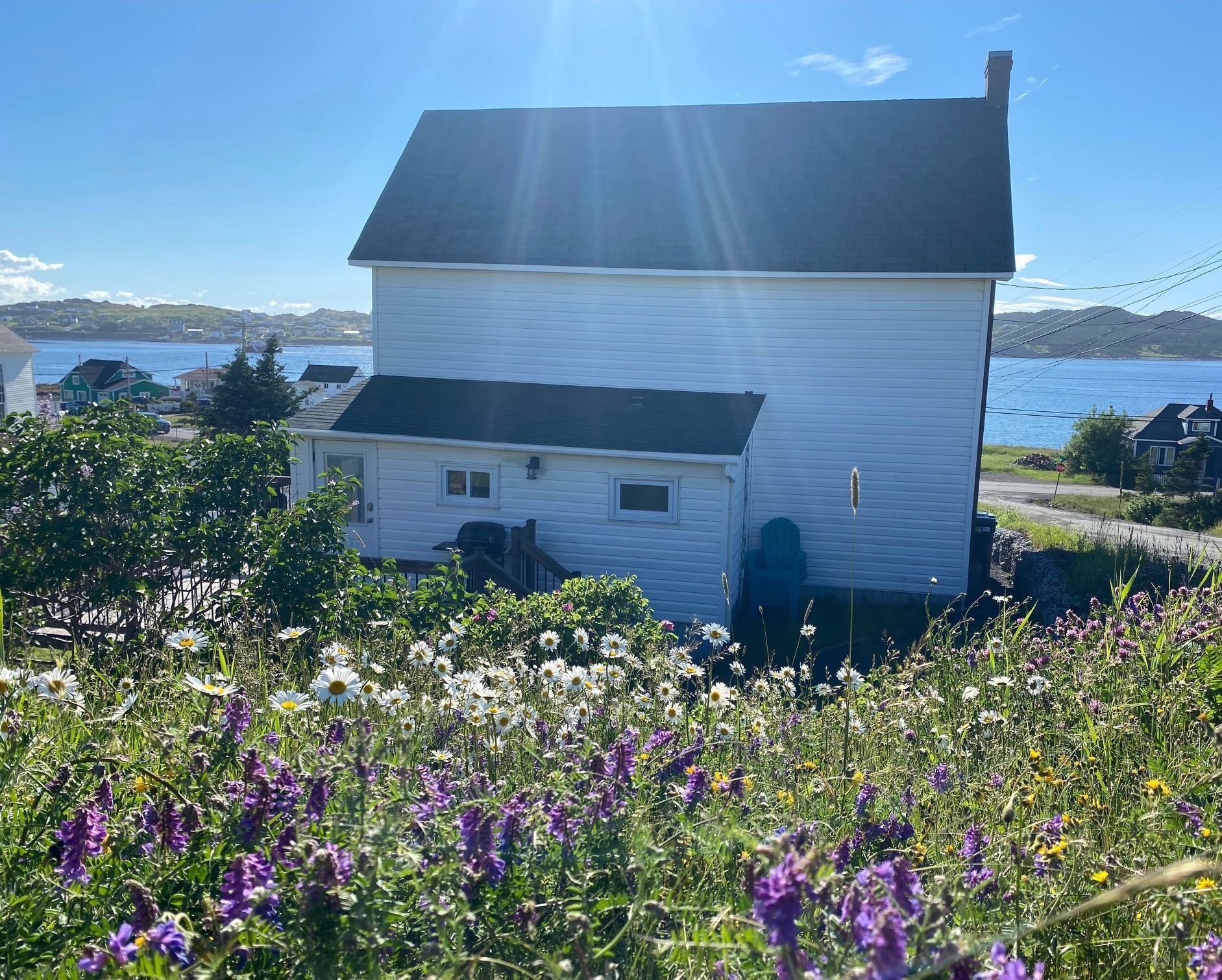 A white house is sitting in the middle of a small town with  purple flowers.