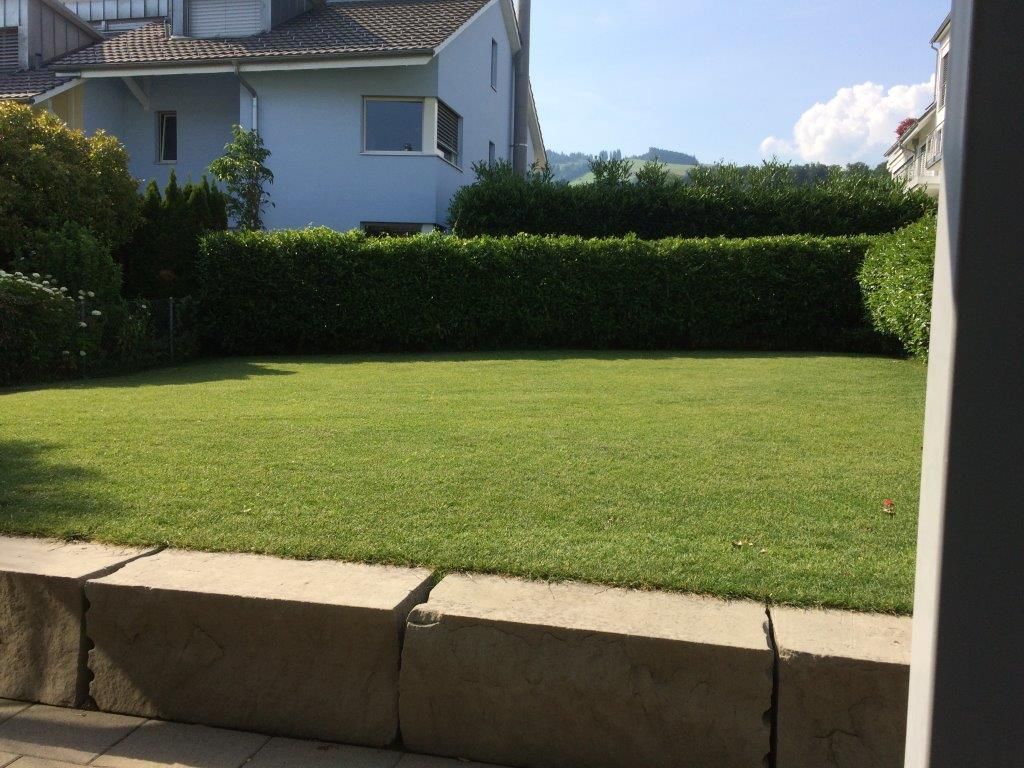 Kälin Gartenbau und Gartenpflege | Bäch SZ