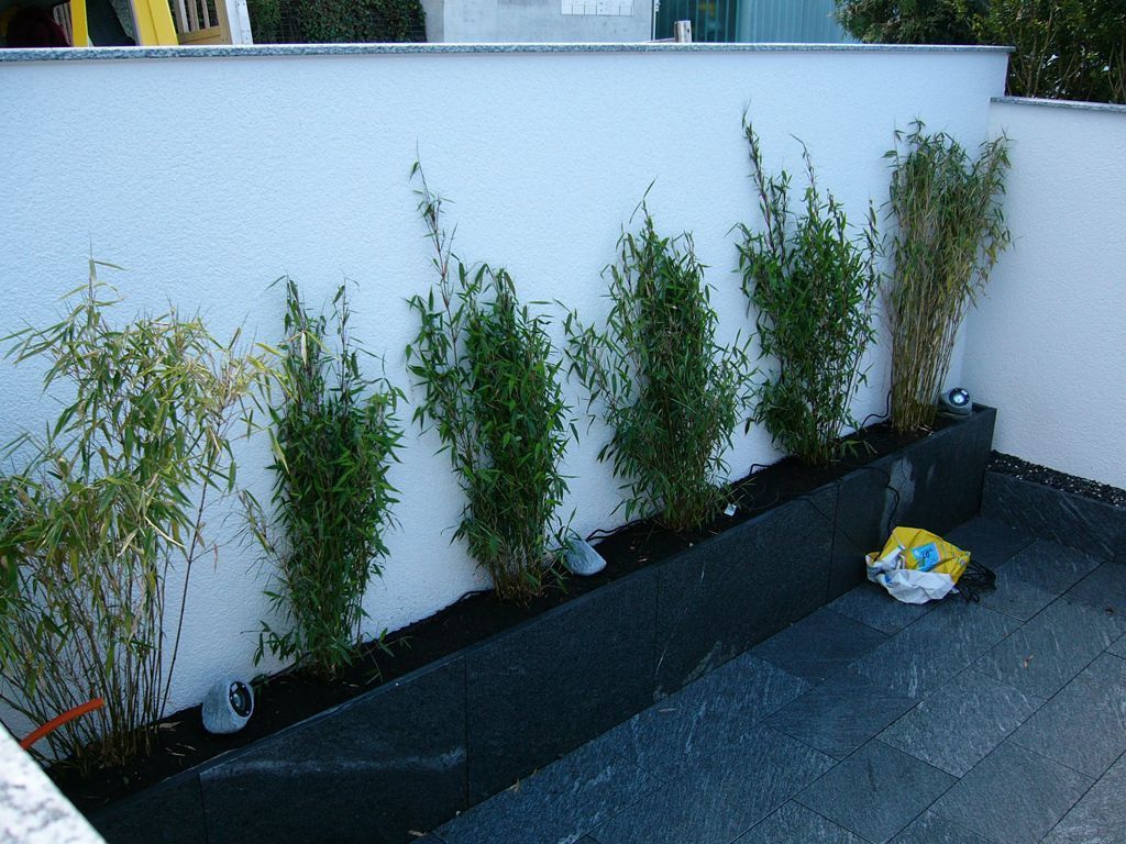 Kälin Gartenbau und Gartenpflege | Bäch SZ