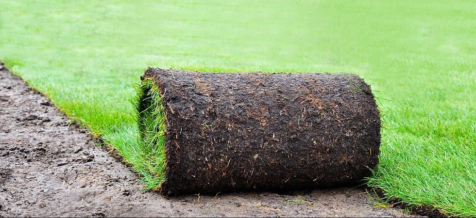 Kälin Gartenbau und Gartenpflege | Bäch SZ