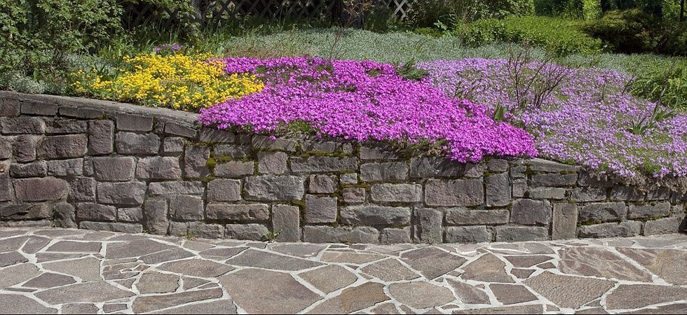 Kälin Gartenbau und Gartenpflege | Bäch SZ