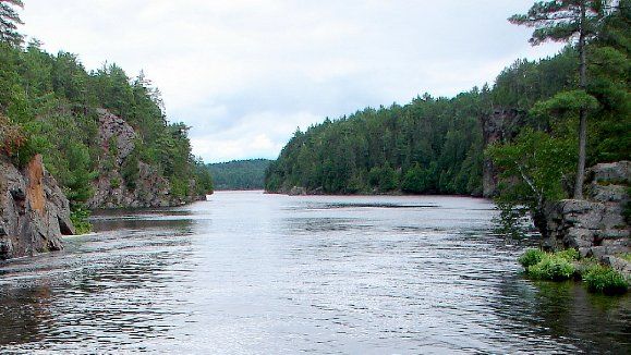 Généalogie des Laurion-Lorion-Lorillon