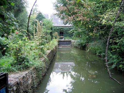 Généalogie des Laurion-Lorion-Lorillon