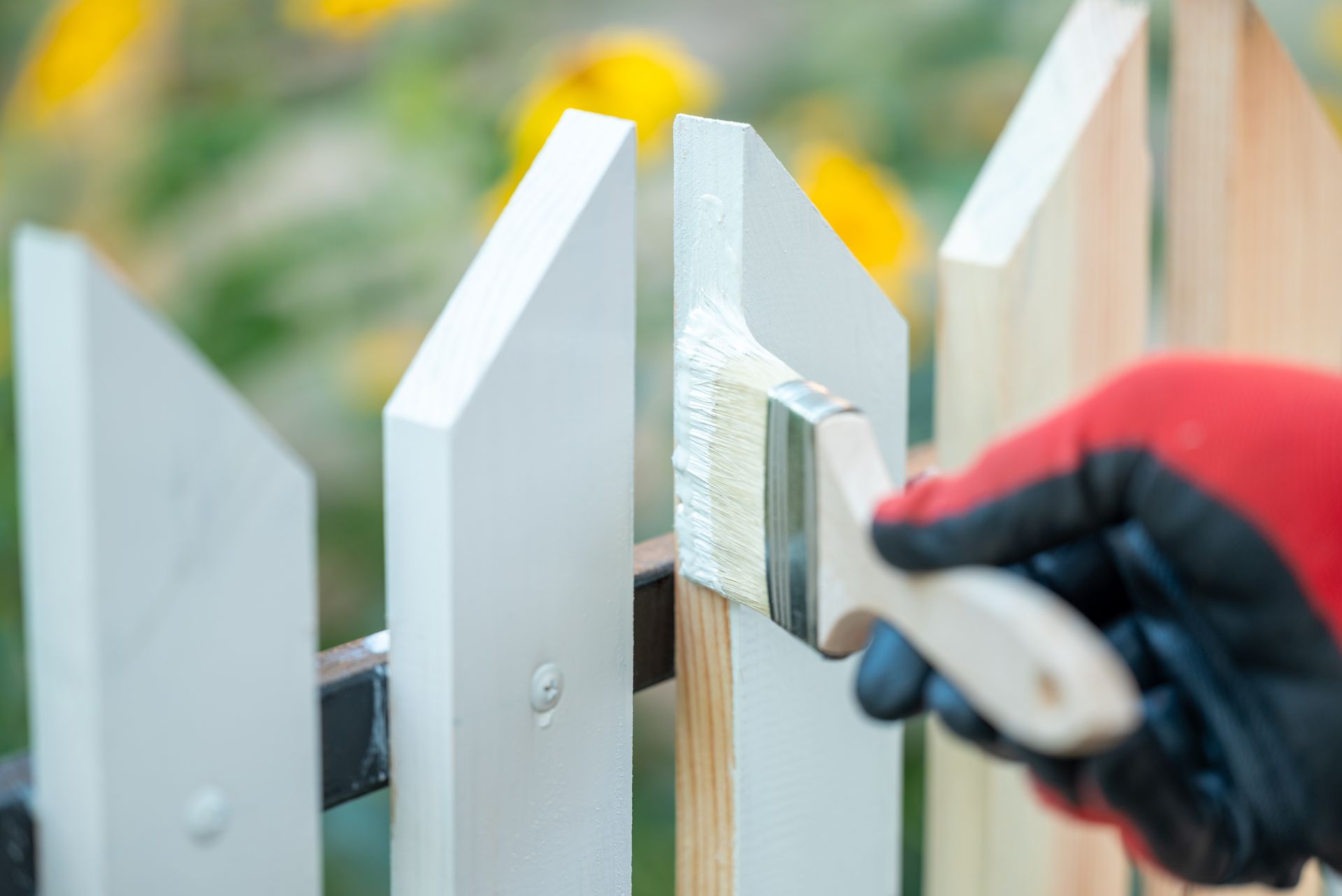 Peinture sur une clôture