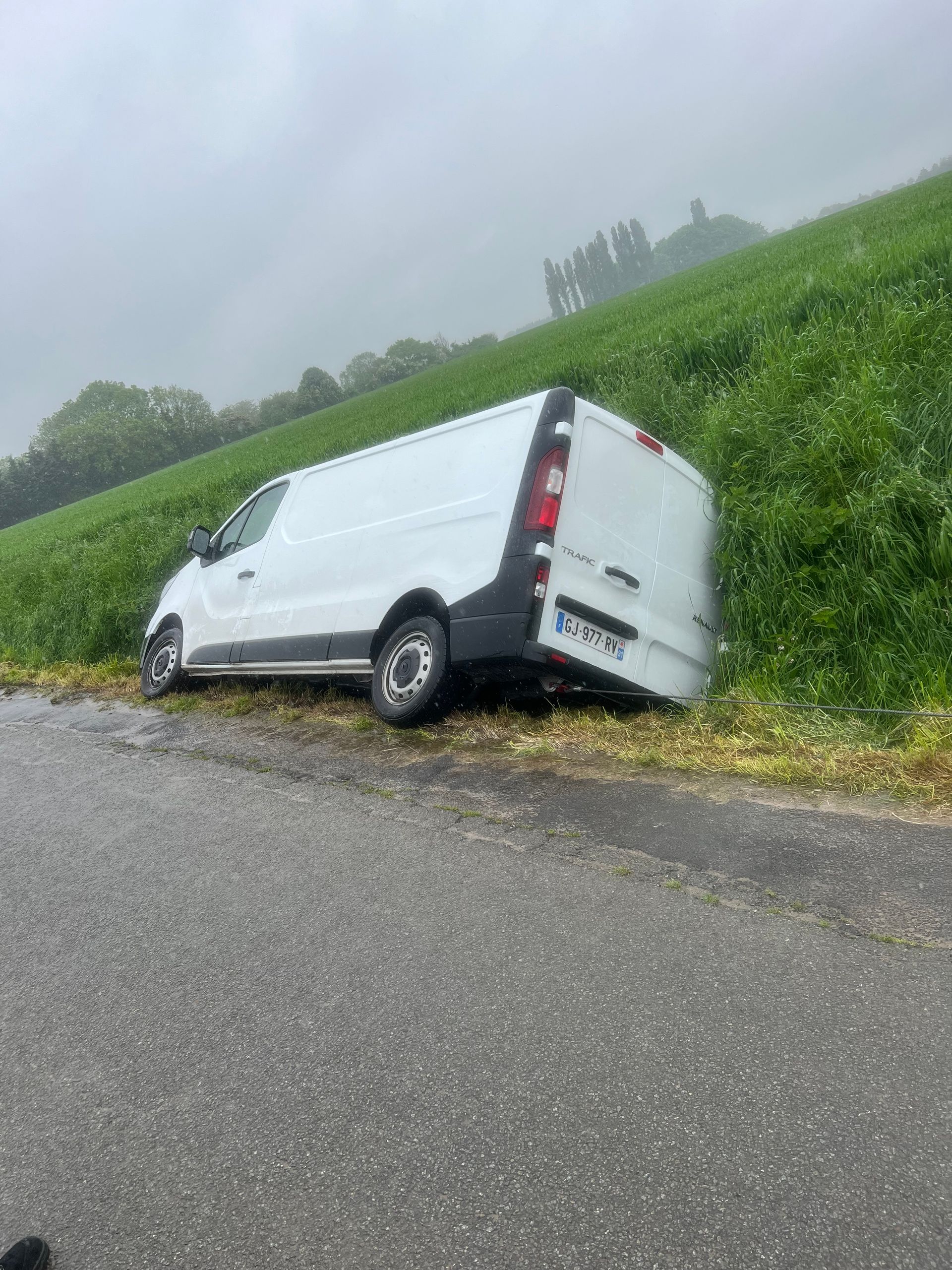 Utilitaire blanc couché dans un pré