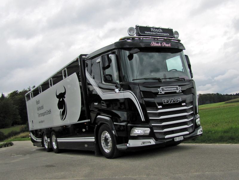 Ein schwarz-weisser Lastwage steht am Strassenrand. Foto von der Rösch Tiertransporte GmbH