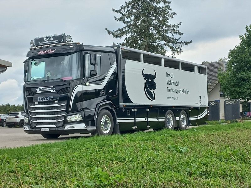 Ein schwarz-weisser Lastwage steht auf einer Wiese. Foto von der Rösch Tiertransporte GmbH