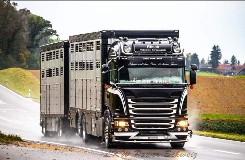 Ein schwarz-silberner Lastwagen fährt eine Strasse entlang. Foto von der Rösch Tiertransporte GmbH
