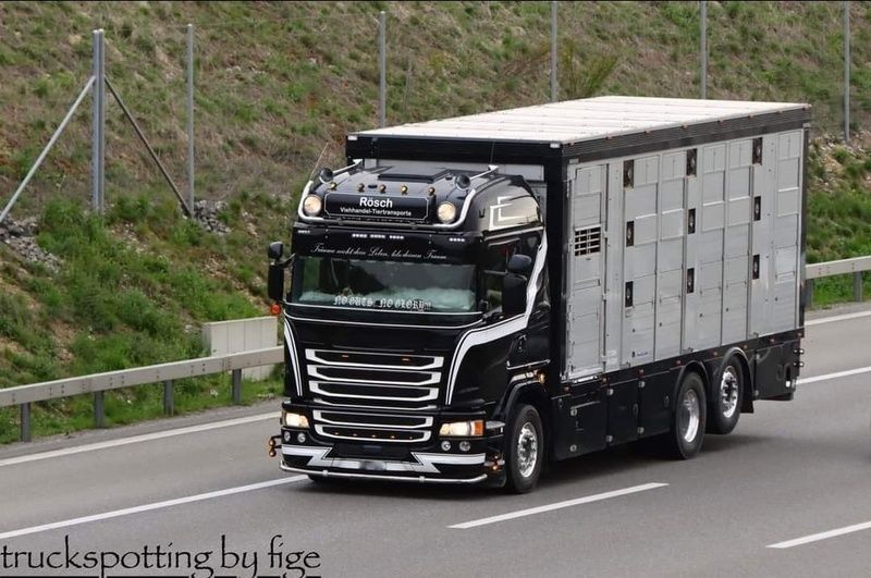 Ein schwarz-weisser Sattelschlepper fährt eine Autobahn entlang. Foto von der Rösch Tiertransporte GmbH