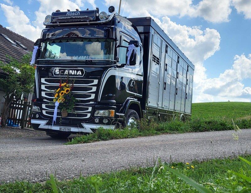 Ein schwarzer Scania-Truck steht am Rand einer Schotterstrasse. Foto von der Rösch Tiertransporte GmbH