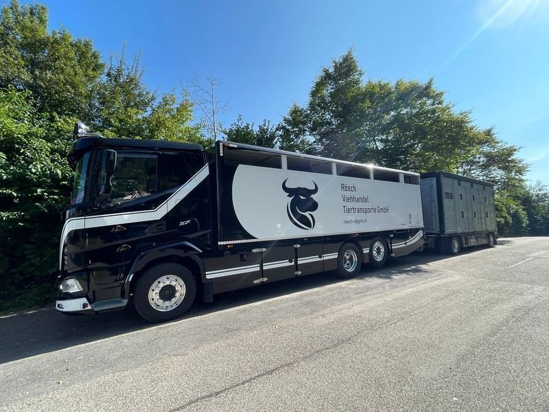 Ein schwarz-weißer Lastwagen mit einem Bullen auf der Seite steht am Strassenrand. Foto von der Rösch Tiertransporte GmbH