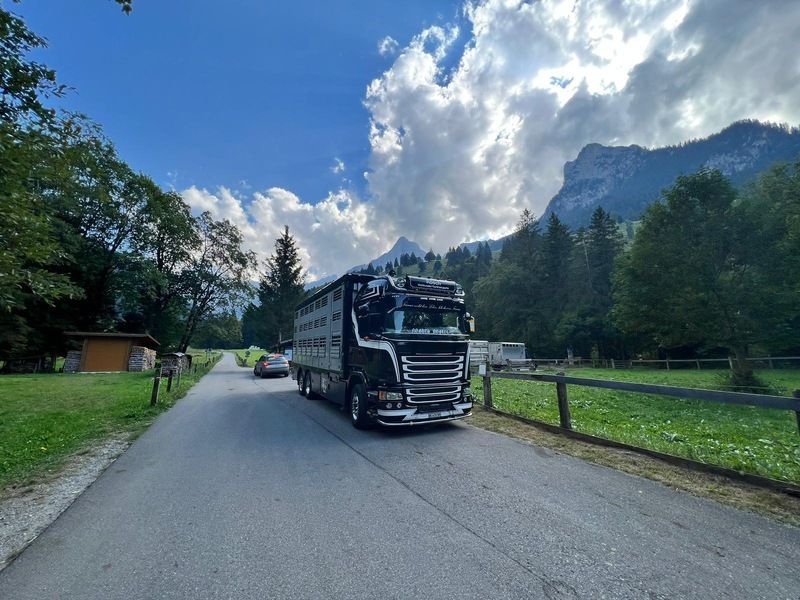 Ein schwarzer Lastwagen fährt eine Strasse mit Bergen im Hintergrund entlang. Foto von der Rösch Tiertransporte GmbH