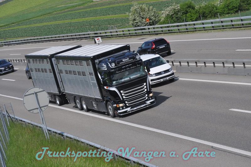 Ein LKW fährt eine Autobahn entlang. Foto von der Rösch Tiertransporte GmbH