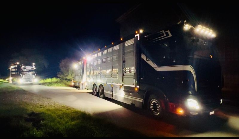 Ein grosser Lastwagen parkt nachts am Strassenrand. Foto von der Rösch Tiertransporte GmbH