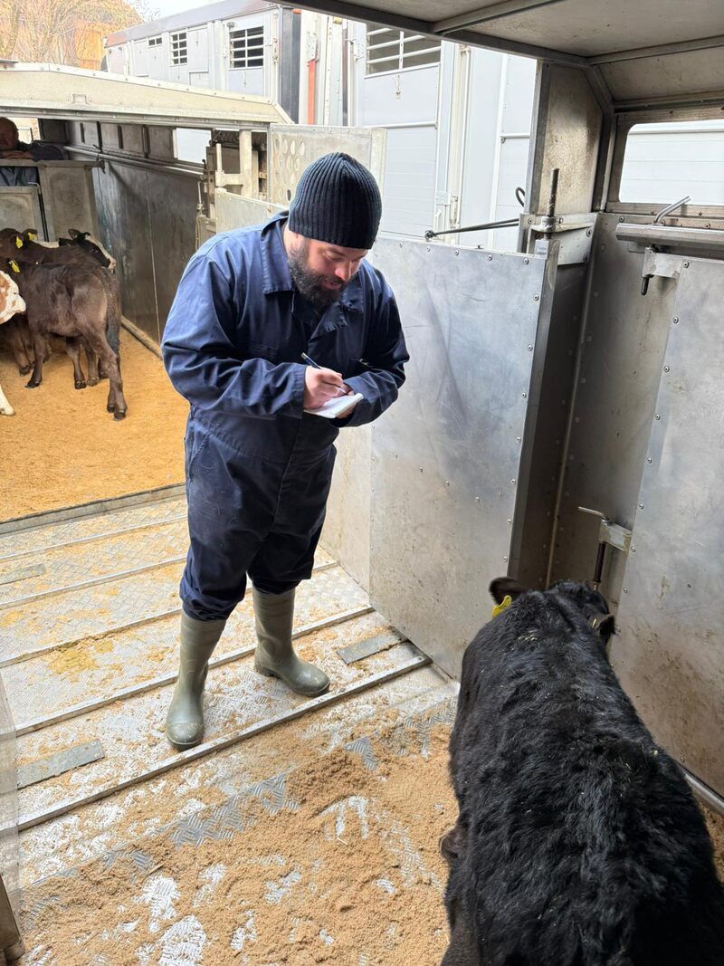 Ein Mann steht neben einer Kuh und schreibt auf ein Stück Papier. Foto von der Rösch Tiertransporte GmbH