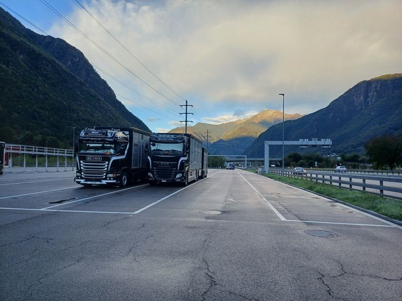 Zwei Lastwagen parken am Strassenrand. Im Hintergrund sind Berge zu sehen. Foto von der Rösch Tiertransporte GmbH
