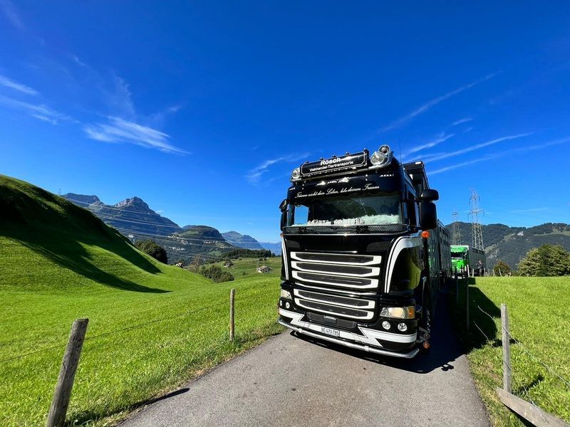 Ein schwarz-weisser Lastwagen steht am Strassenrand. Foto von der Rösch Tiertransporte GmbH