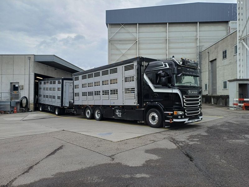 Ein grosser schwarzer Lastwagen steht vor einem Gebäude. Foto von der Rösch Tiertransporte GmbH